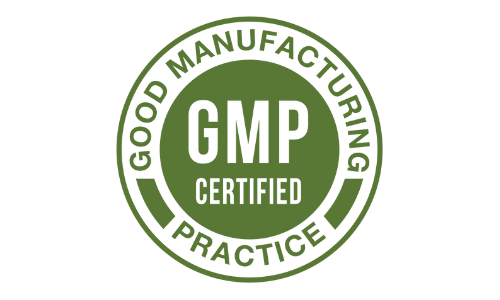 critical t gmp certified